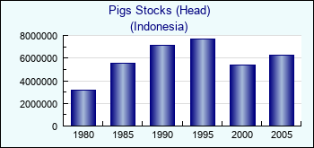 Indonesia. Pigs Stocks (Head)
