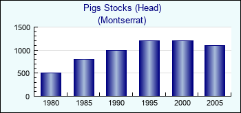 Montserrat. Pigs Stocks (Head)