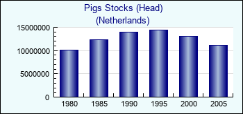 Netherlands. Pigs Stocks (Head)