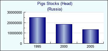 Russia. Pigs Stocks (Head)