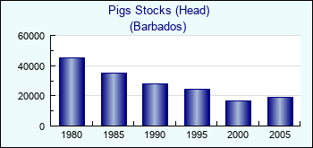 Barbados. Pigs Stocks (Head)