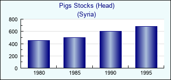 Syria. Pigs Stocks (Head)