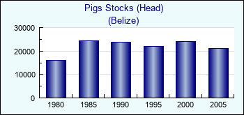 Belize. Pigs Stocks (Head)