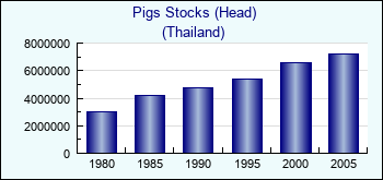 Thailand. Pigs Stocks (Head)