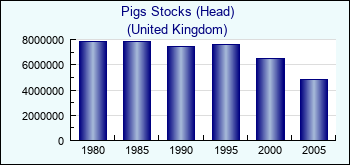 United Kingdom. Pigs Stocks (Head)