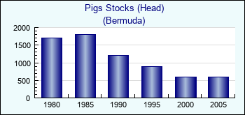 Bermuda. Pigs Stocks (Head)