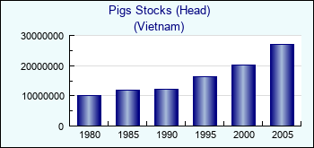 Vietnam. Pigs Stocks (Head)