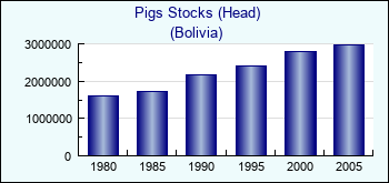 Bolivia. Pigs Stocks (Head)