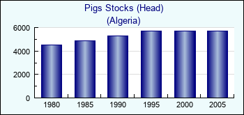 Algeria. Pigs Stocks (Head)