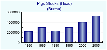 Burma. Pigs Stocks (Head)