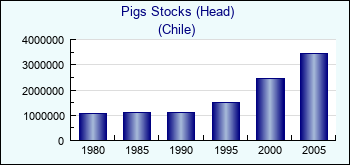 Chile. Pigs Stocks (Head)