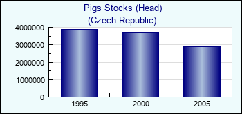 Czech Republic. Pigs Stocks (Head)