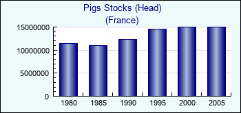 France. Pigs Stocks (Head)