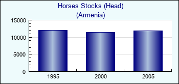 Armenia. Horses Stocks (Head)