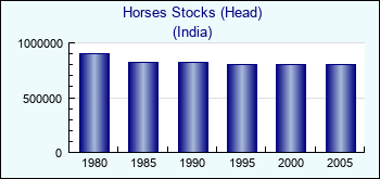 India. Horses Stocks (Head)
