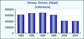 Indonesia. Horses Stocks (Head)