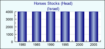 Israel. Horses Stocks (Head)