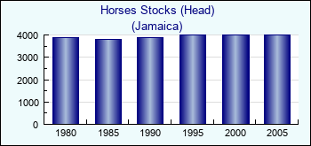 Jamaica. Horses Stocks (Head)