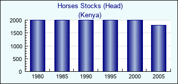 Kenya. Horses Stocks (Head)