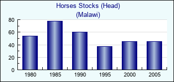 Malawi. Horses Stocks (Head)
