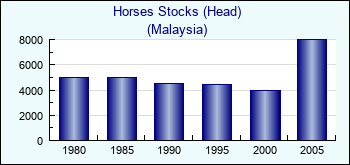 Malaysia. Horses Stocks (Head)