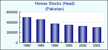 Pakistan. Horses Stocks (Head)