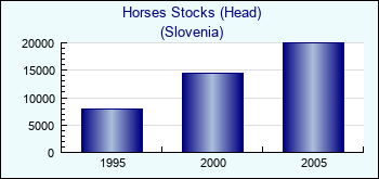 Slovenia. Horses Stocks (Head)