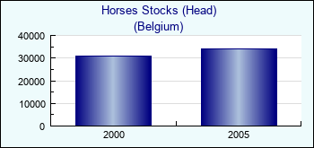 Belgium. Horses Stocks (Head)
