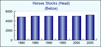 Belize. Horses Stocks (Head)