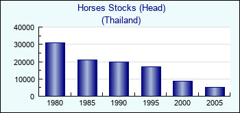 Thailand. Horses Stocks (Head)