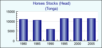 Tonga. Horses Stocks (Head)