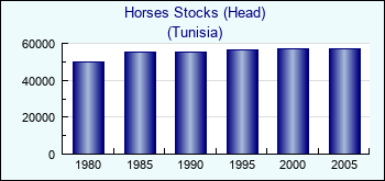 Tunisia. Horses Stocks (Head)