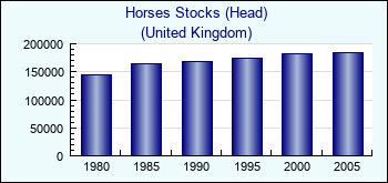 United Kingdom. Horses Stocks (Head)