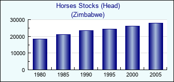 Zimbabwe. Horses Stocks (Head)
