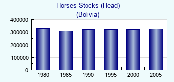 Bolivia. Horses Stocks (Head)