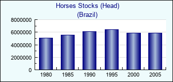 Brazil. Horses Stocks (Head)