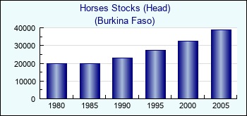 Burkina Faso. Horses Stocks (Head)