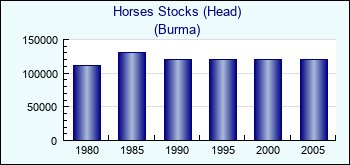 Burma. Horses Stocks (Head)