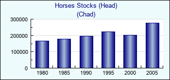 Chad. Horses Stocks (Head)