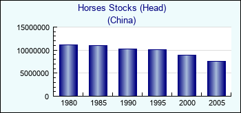 China. Horses Stocks (Head)