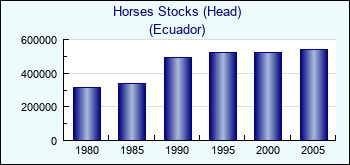 Ecuador. Horses Stocks (Head)