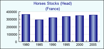 France. Horses Stocks (Head)