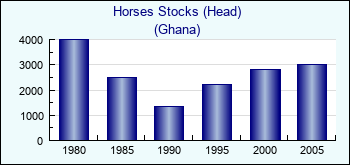 Ghana. Horses Stocks (Head)