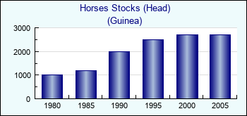 Guinea. Horses Stocks (Head)