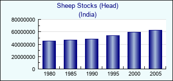 India. Sheep Stocks (Head)