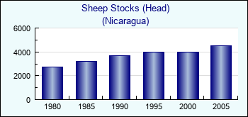 Nicaragua. Sheep Stocks (Head)