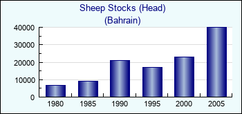 Bahrain. Sheep Stocks (Head)
