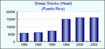 Puerto Rico. Sheep Stocks (Head)