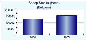 Belgium. Sheep Stocks (Head)