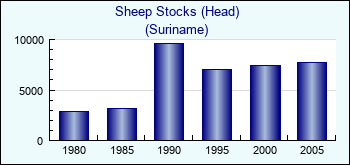 Suriname. Sheep Stocks (Head)